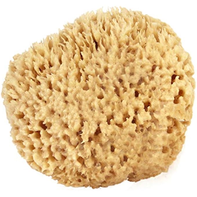 Bath & Shower Express Sea Wool Sponge 5-6 (Large) by Ãƒâ€š Natural Renewable Resource! - Image 1